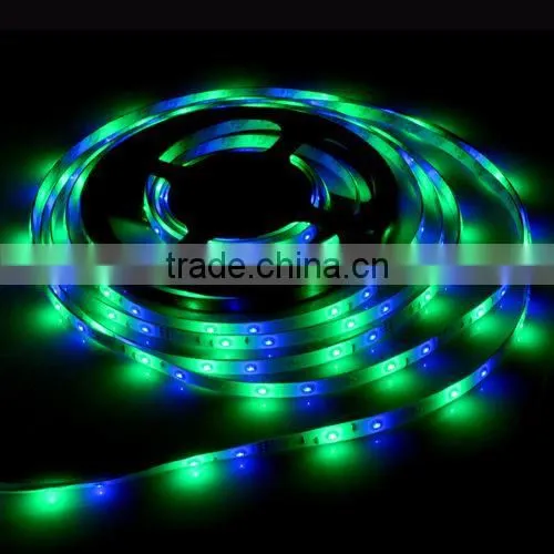 3014 LED Strip RGB 54Led/m Waterproof Led Diode Tape Ribbon + 10Key RF Controller + 2A Power Adapter For Home Garden Decoration photo-5