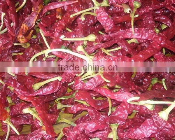 red chilli
