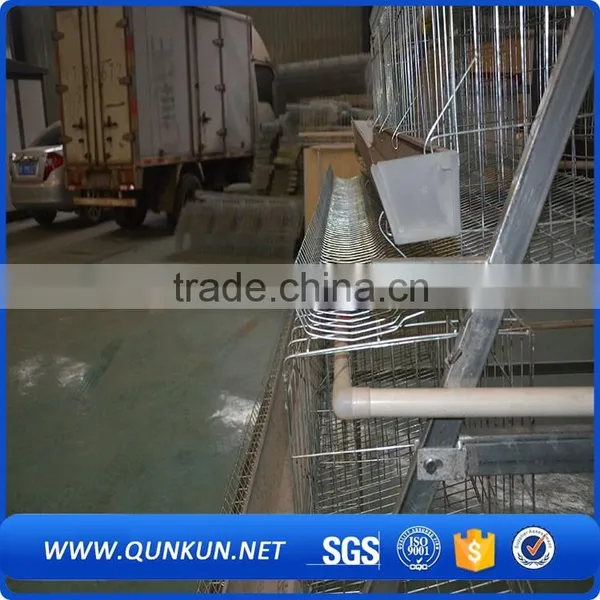Egg Production Project Poultry Farming Equipment H Type Design Layer Chicken Cage for Sale photo-6