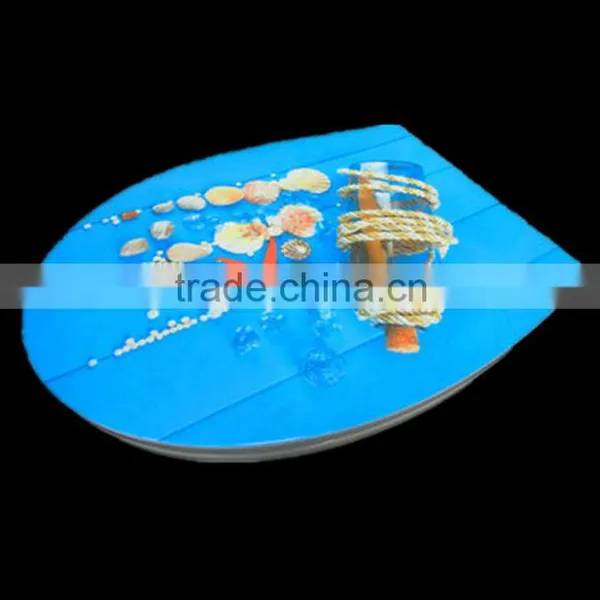 Custom Deisgn Decorative wc Seats Soft Close Toilet Seat photo-2
