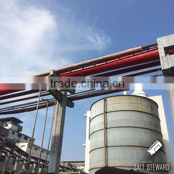 Food Processing Iodine Table Salt photo-4