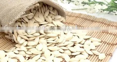 Roasted Salted Shin Skin Pumpkin Seeds photo-4