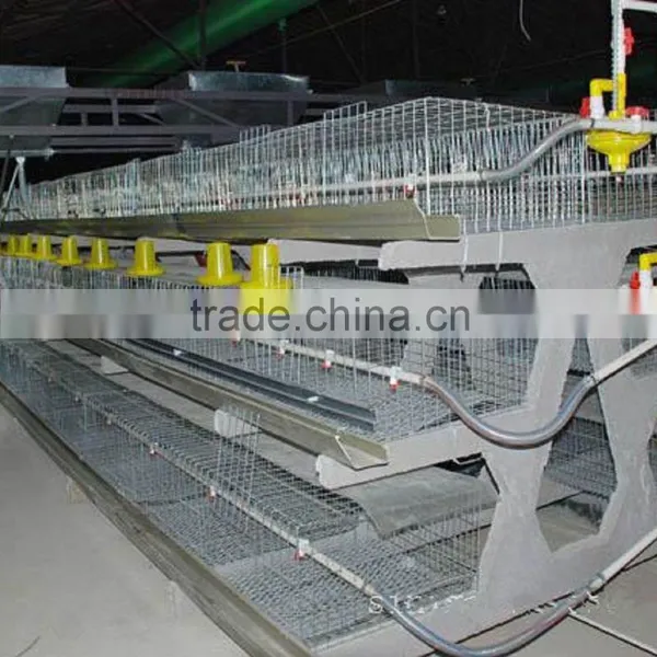 Automatic Feeding for Chicken Cage , Laying Hen , photo-2