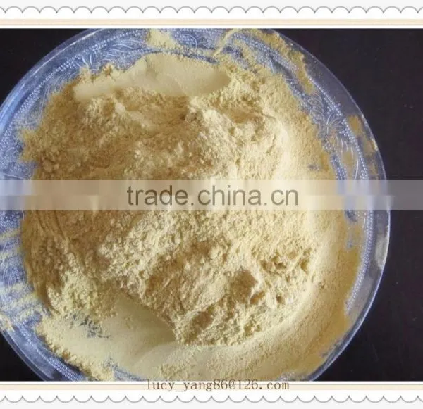 Ginger Powder Benefits of Ginger Powder Healthy Products photo-2
