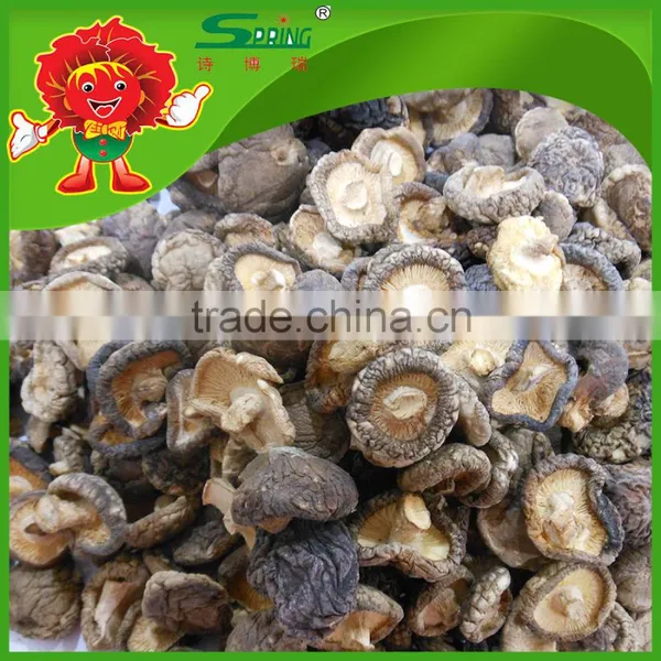 Best Fresh Matsutake Mushroom for Sale Frozen Mushrooms photo-5
