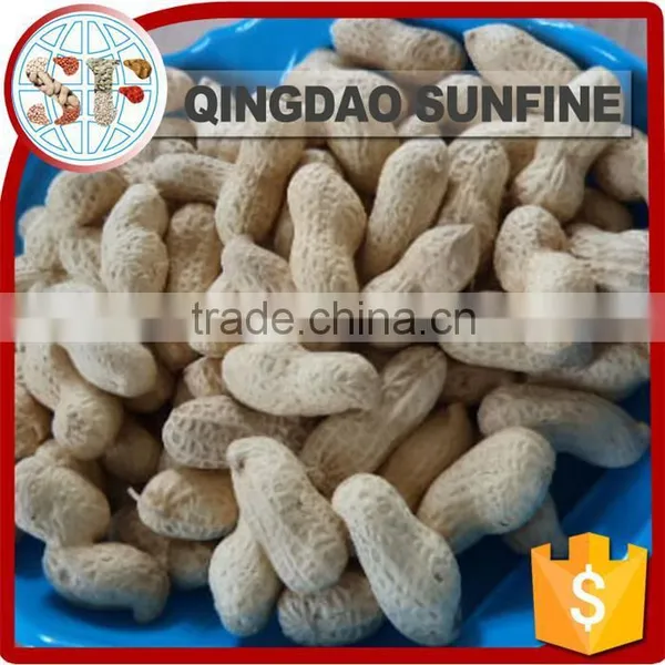 Crispy Organic Roasted Peanuts in Shell photo-6