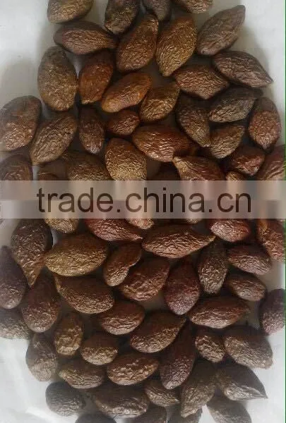 Dried Malva Nut photo-2