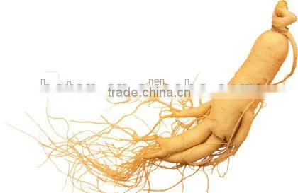 High Quality Chinese Ginseng Multivitamin Capsules photo-2