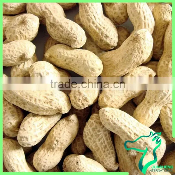 Compititive Price Peanuts In Shell Wholesale Price photo-6
