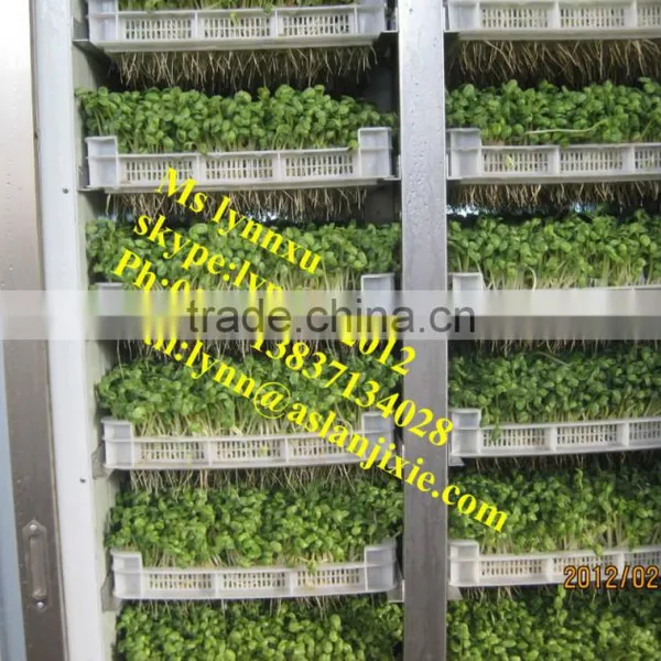Soyabean Sprouting Machine /automatic Bean Sprout Machine photo-3
