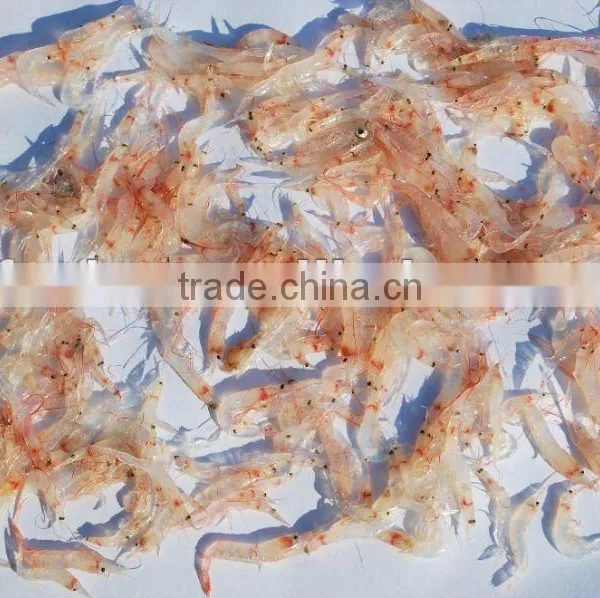 Seafood Snack