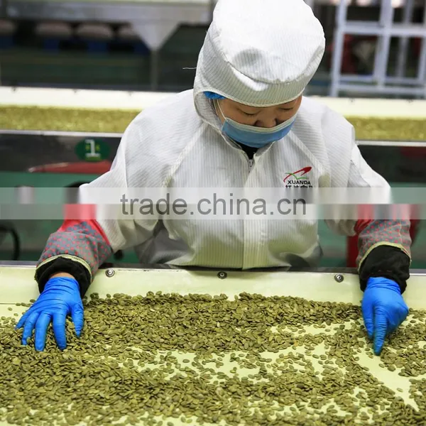 Green Shine Skin Pumpkin Seed Kenel Best Quality With Cheap Price photo-4