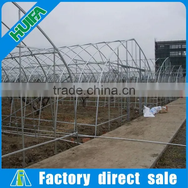 New Design Hot Sale Steel Frame High Tunnel Greenhouse photo-2