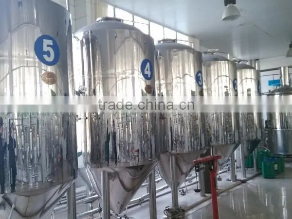 500gallon Beer Fermenter photo-6