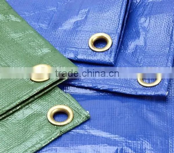 Greenhouse Floor Covering photo-5