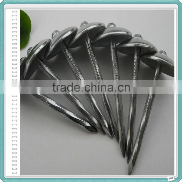 Umbrella Roofing Nails With Gunny Bag Packing photo-4