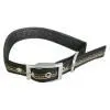 Sell Pet Collar (China (Mainland))