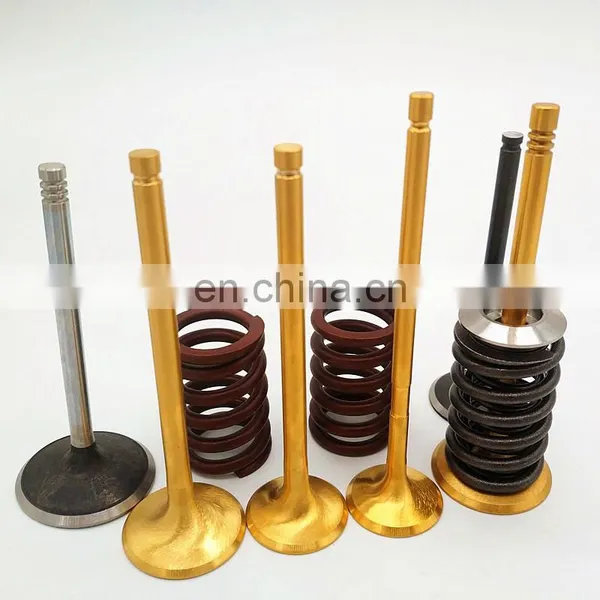 High Grade Racing Stainless Steel Intake Engine Valve for BMW 5 6 Series E60 M5 m6 E63 E64 M6 507HP V10 Bare Engine S85B50A photo-2