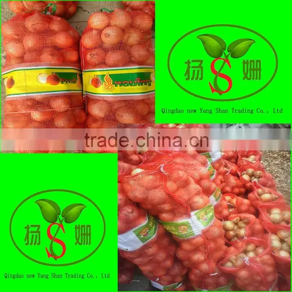 Low Price Fresh Red Onion Packing In Mesh Bag Cheap Onion photo-4