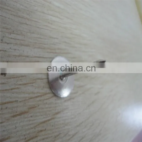 Common Steel Wire Nail From China Factory photo-5