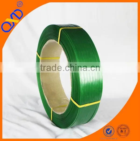 Pet Strapping Band Plant