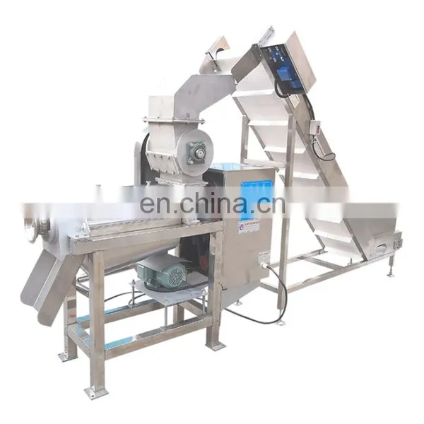 Small Scale Pineapple Jam Processing Plant photo-4