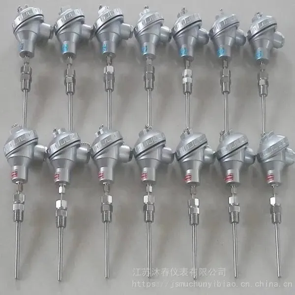 Temperature transmitter PT100
