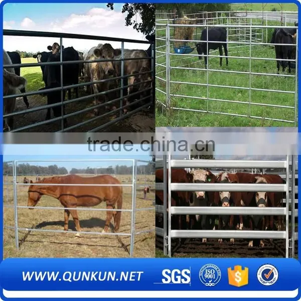 Qunkun Heavy Duty Used Livestock Panels / Cattle Panels/ Sheep Panels photo-6