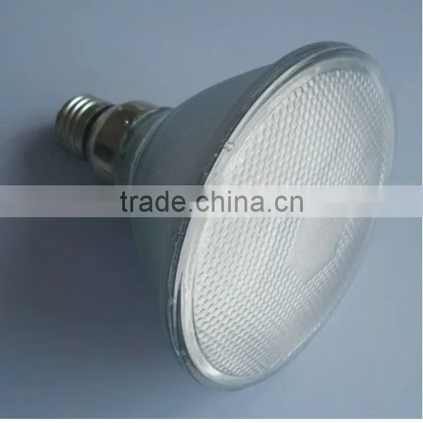 LED Light(LED Lamp, LED Light Bulb)PAR38