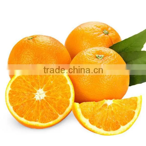 Hot Selling Fresh Navel Orange