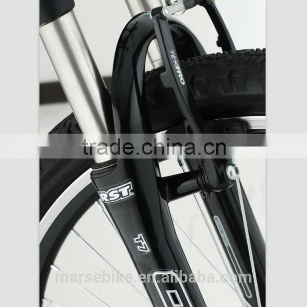 Vending 26'' Mtb Folding Mountain Electric Bicycle Ebike Hot Selling photo-4
