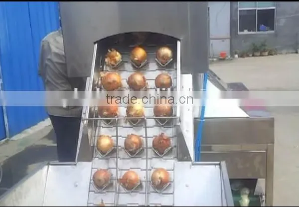 Single Conveyor Belt Onion Peeling Machine photo-5