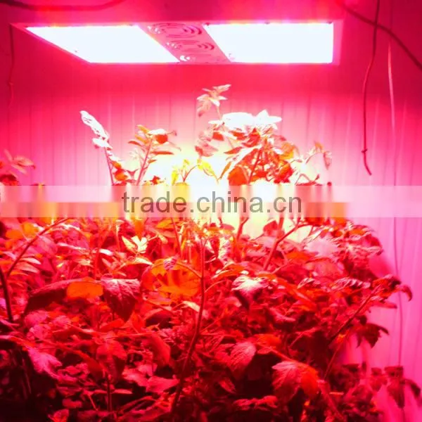 Lumini Smart Hydroponics Grow Light System photo-4