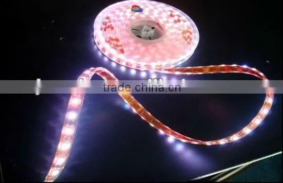3528SMD RGB Led Strip Light