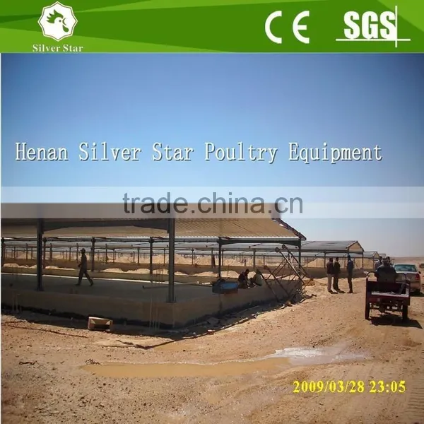 Good Quality Steel Structure Poultry House for Chickens photo-3