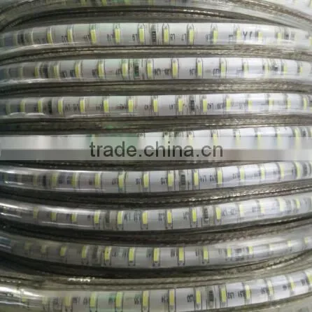 220V 3014 SMD Led Strips Light 120 Leds/M