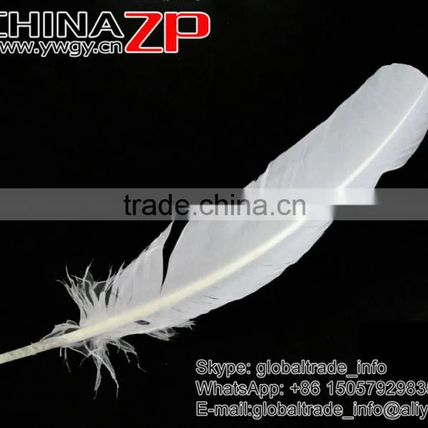 Gold Supplier CHINAZP Cheap Bulk Plume Dyed Snow White Solid Color Turkey Feather for Sale photo-4
