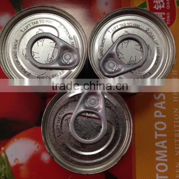 198G China Factory Hot Sell Nature Canned Tomato Paste photo-5