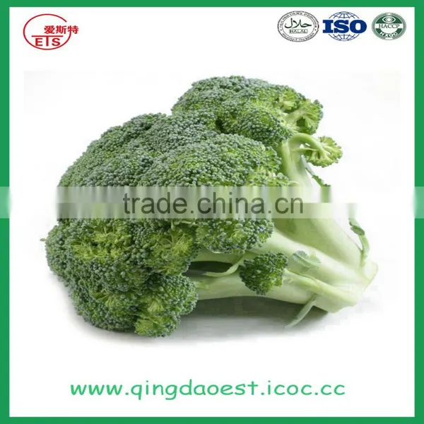 High Quality Fresh Broccoli for Sale 1000-1100g/pc photo-3