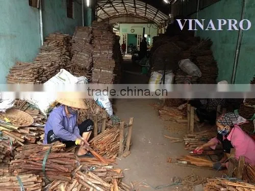 VIETNAM SPLIT CASSIA WITH BEST PRICE, HIGHT QUALITY photo-3