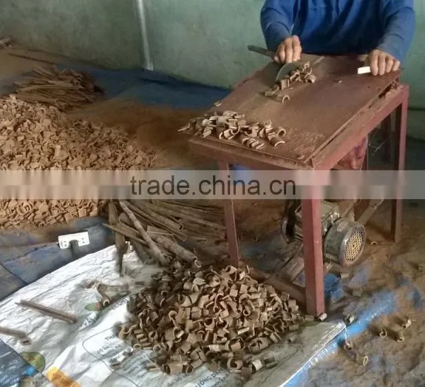 RAW SQUARE CUT CASSIA/CINNAMON WITH SKIN photo-4