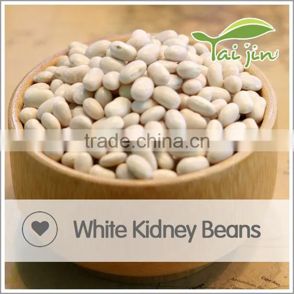Foul Medames White Kidney Beans For Canning photo-6