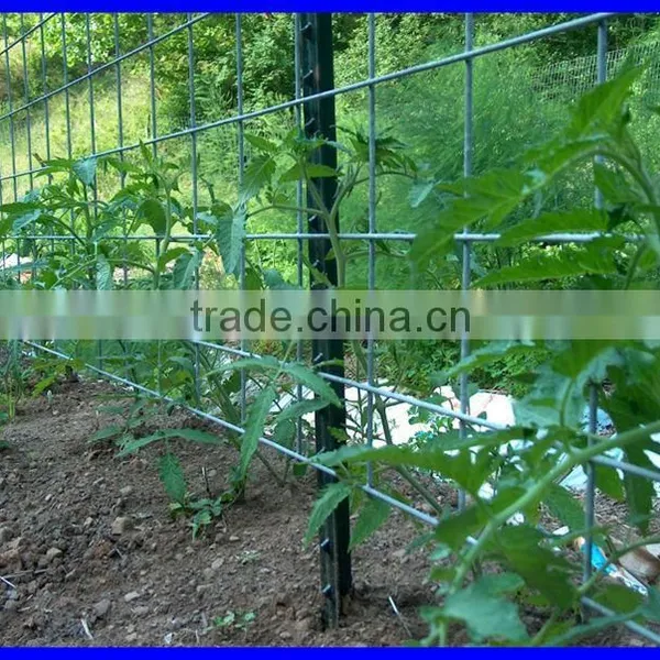 American T Fence Post, Steel Fence T Post photo-5