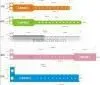 Tracking Chip Adjustable Silicon RFID Wristband photo-4