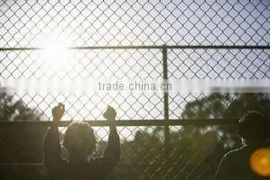 Good Price Chain Link Fence Netting photo-2