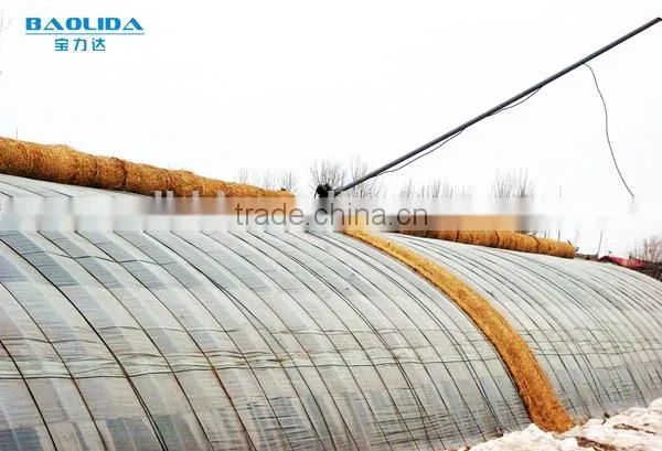 Polythene Film Solar Greenhouse For Vegetables photo-2