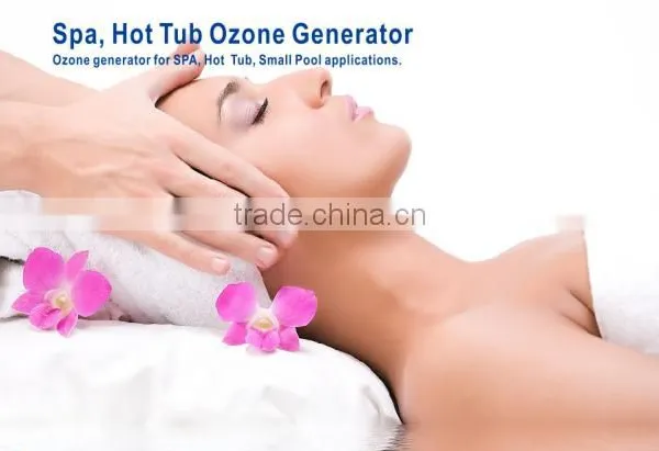 300mg/h Spa Home Machine Water Filters for Hot Tub photo-3