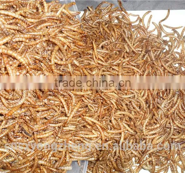 Bird Health Food 2.8 cm Yellow Dried Mealworms photo-2