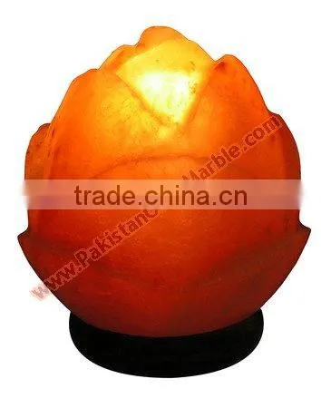 Top Quality Cheap Price CRAFTED CRYSTAL SALT LAMPS photo-6