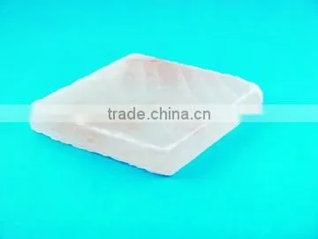 Salt Bricks